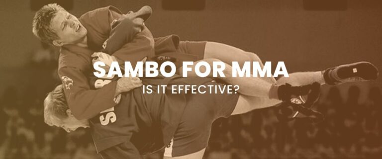 Sambo For MMA