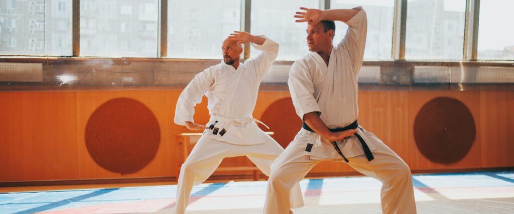 Is Karate The Best Martial Art For MMA