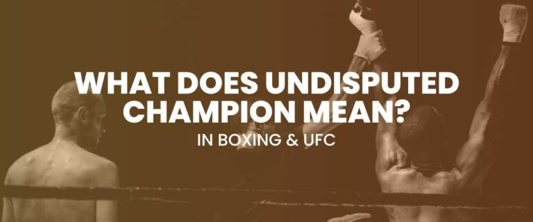 What Does Undisputed Champion Mean