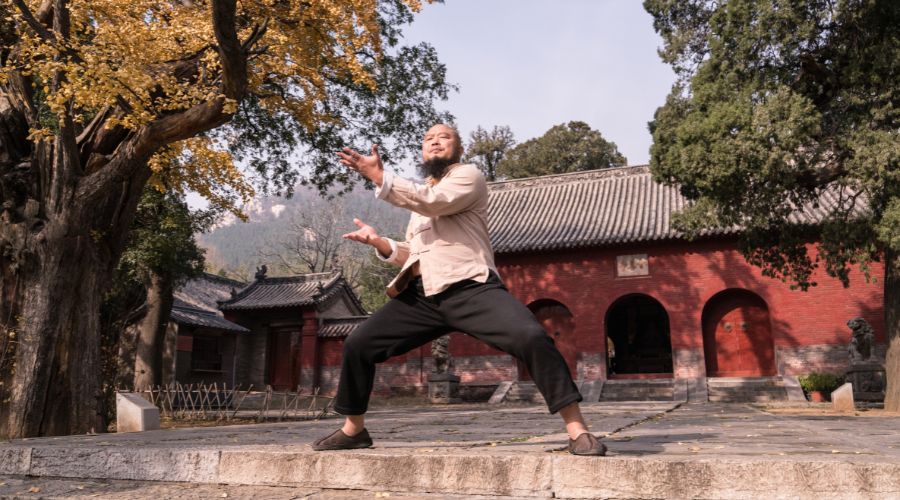 Is Shaolin Kung Fu Good For MMA