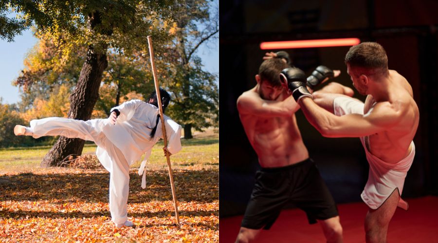 MMA vs Kung Fu For Self Defense