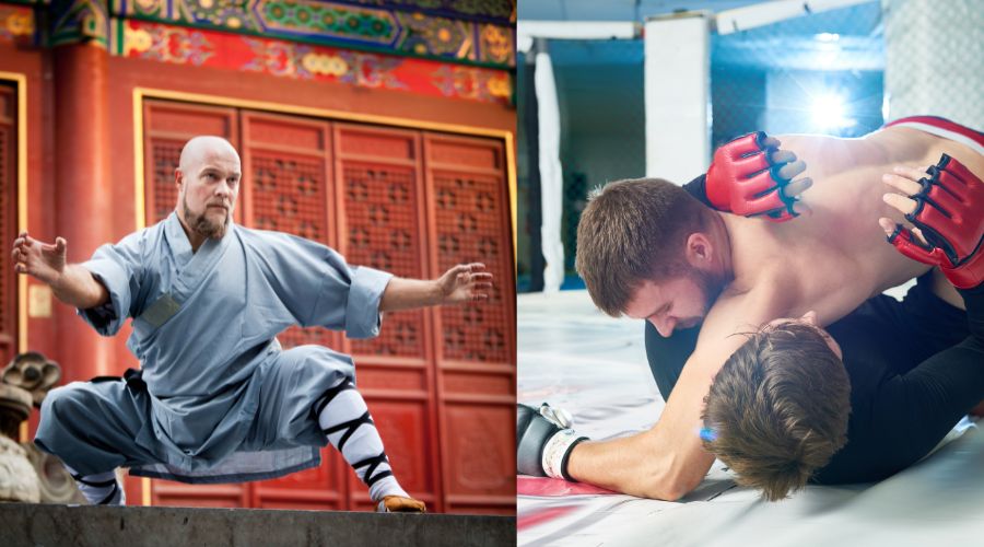 MMA vs Shaolin Monk